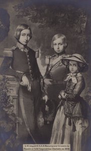 S M Léopold II, S A R Monseigneur le Comte de Flandre, S M l